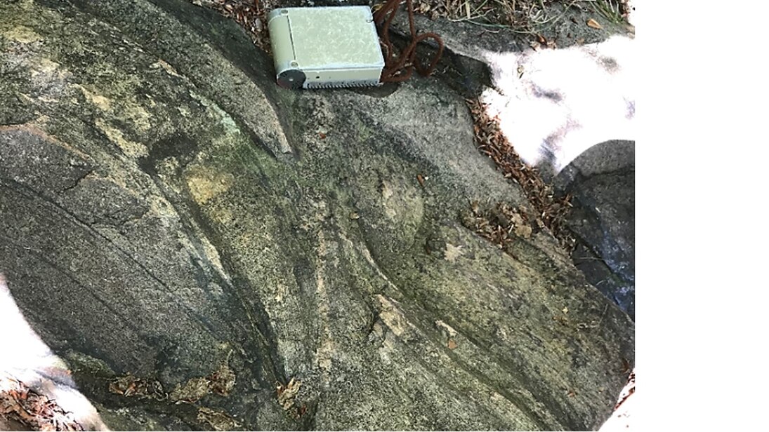 Granulit mit Schleppfaltung der Foliation entlang einer steilstehenden Scherzone im Zschopautal nördlich von Waldheim.