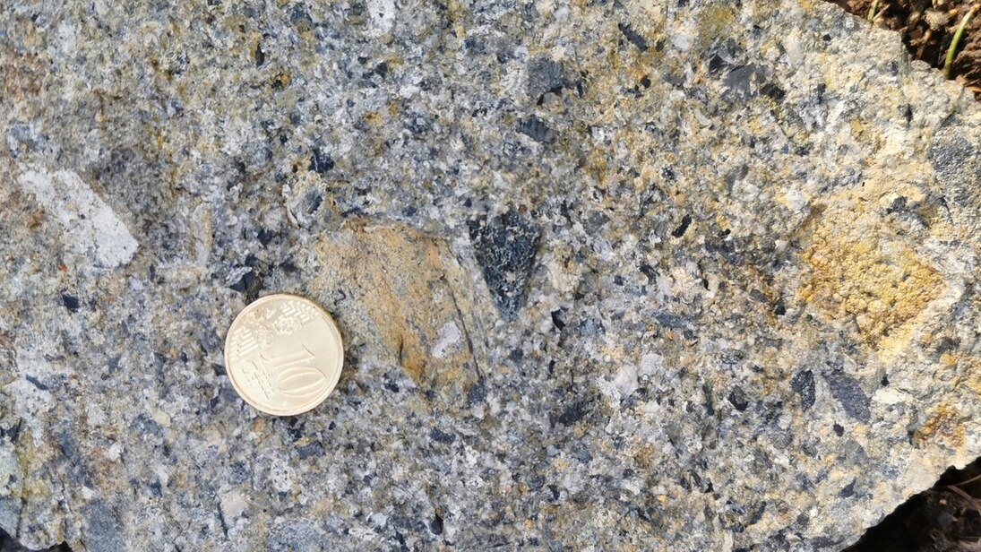 Unterkarbones synorogenes Sediment aus Kürbitz bei Plauen. Die Gerölle umfassen verschiedene paläozoische Sedimente wie Sandstein und Schiefer und sind nur kantengerundet, was auf einen kurzen Transportweg hindeutet.