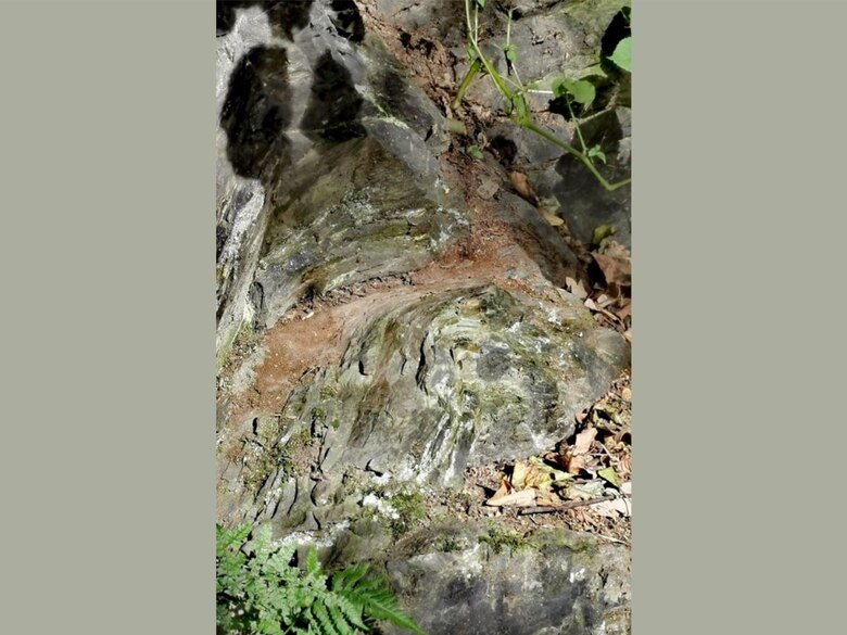 Aufschlussfoto des Tonschiefers in der Nähe des Samuelerstollns.