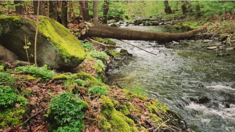Löbauer Wasser in der Georgewitzer Skala