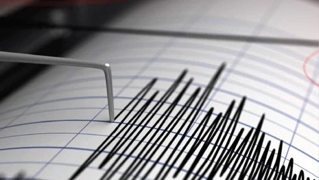 Nadel eines Seismographen