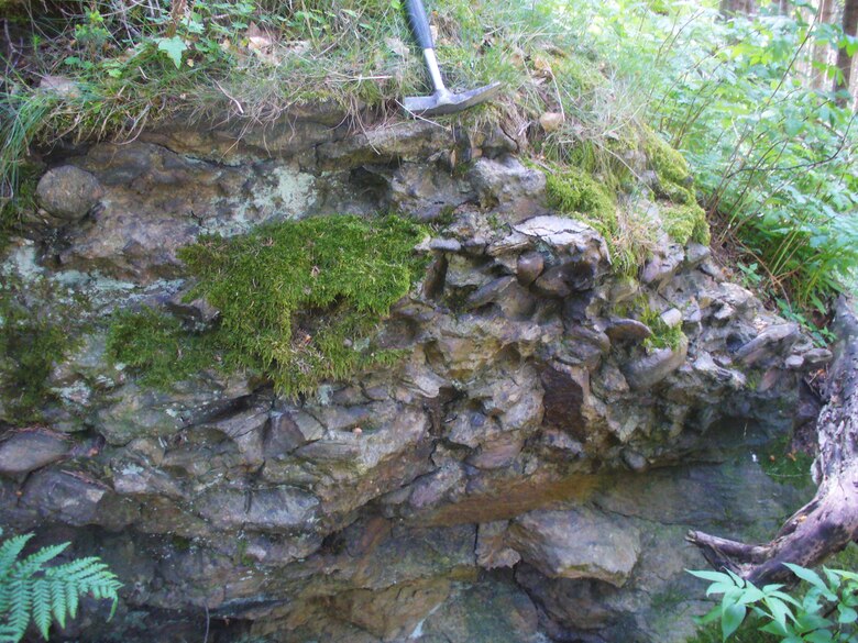 Aufschluss eines Felsens mit Putzmühlekonglomerat im Wald.
